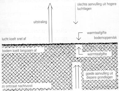 Nachtvorst 33 KB.jpg (33072 bytes)