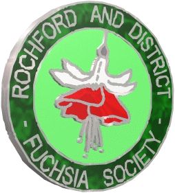 J18-1.Rochford and District Fuchsia Society 31kB.jpg (31682 bytes)