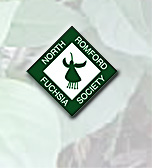 J18-North Romford Fuchsia Society 11kB.jpg (11204 bytes)