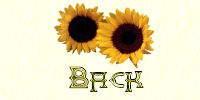 b-18-knop back-zonnebloem 10kB.gif (10527 bytes)