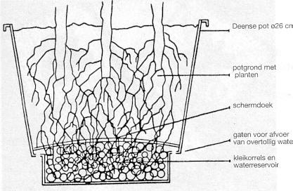 J23-Semi-hydrocultuur 30kB.jpg (30294 bytes)