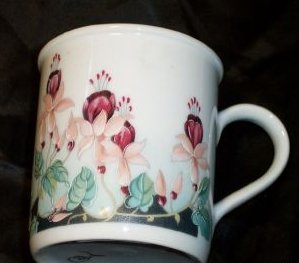 J20b-Fuchsia mug with upside down fuchsias 15kB.jpg (15010 bytes)