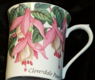 J20b-Queen's mug with pink and white fuchsias 19kB.jpg (18473 bytes)