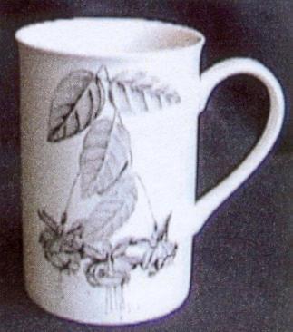 A36-Mug PTS Internatonal Botanica - Indonesia 23kB.jpg (22868 bytes)