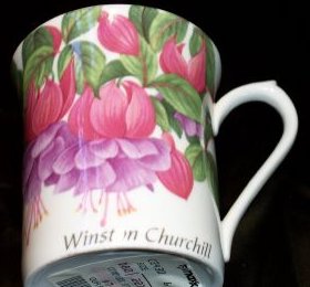 A8-a.Fuchsias Elizabethan Mug with Winston Churchill 16kB.jpg (16462 bytes)